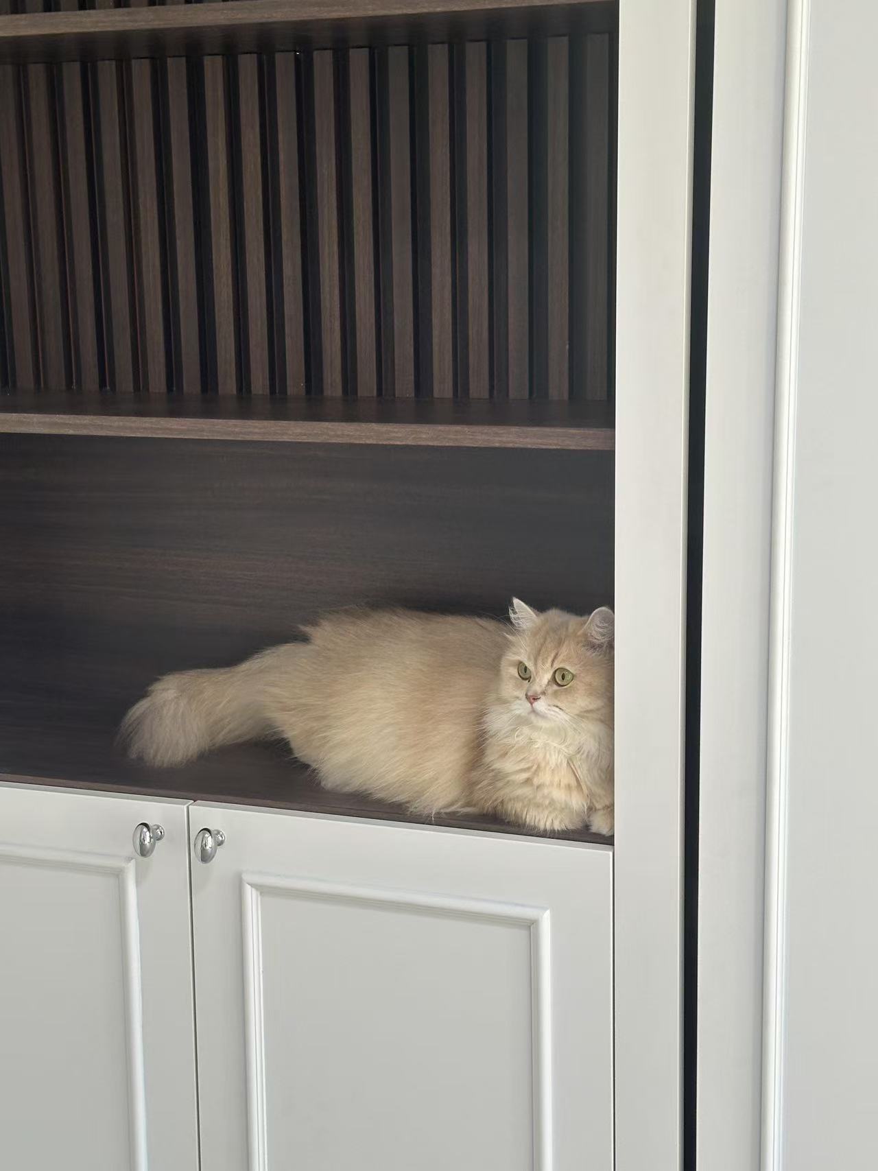 Full-House Aluminum Customization: The Ultimate Guide